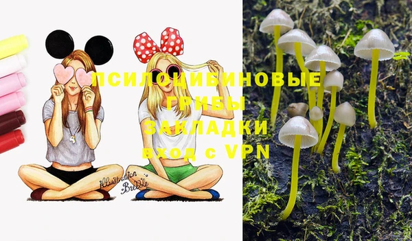 кокс Костерёво