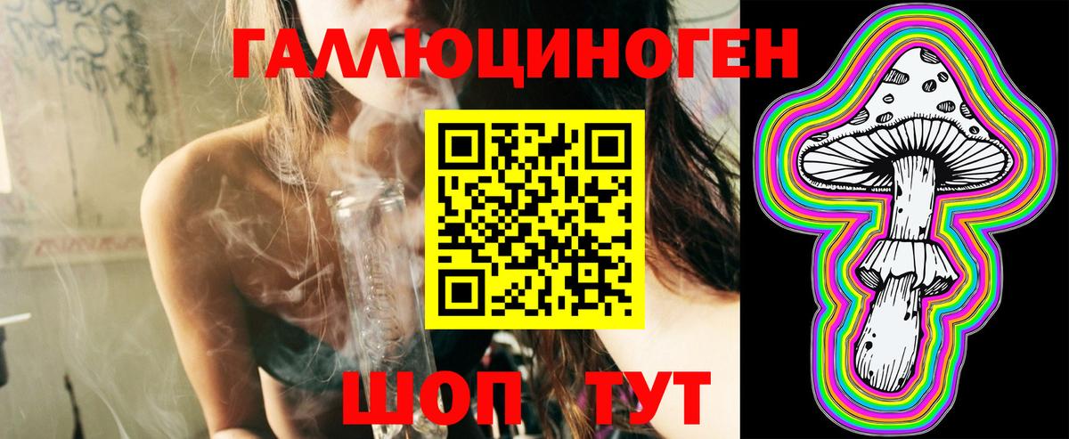 что такое   Галлюциногенные грибы MAGIC MUSHROOMS  Вход с VPN  Туапсе  Галлюциногенные грибы Psilocybe 
